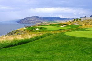 More Tobiano