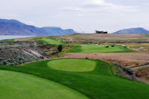 Tobiano-First Tee