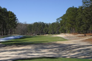 Formerly Rough, Barren Spaces Return To Sand & Wire Grass