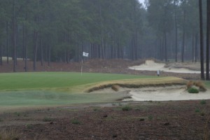 Remember Those Greens?