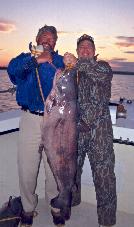 A Really Big Catfish