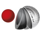 rzn1