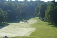View the album WNYPLGA 2013